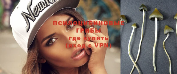 прущие грибы Михайловск