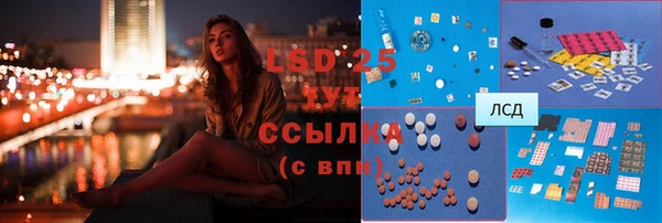 прущие грибы Михайловск