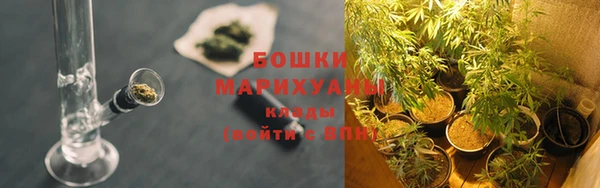 Альфа ПВП Медногорск