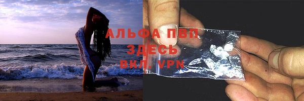 прущие грибы Михайловск