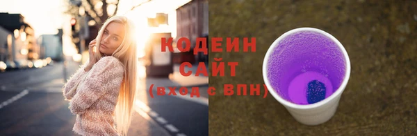 прущие грибы Михайловск