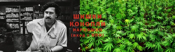 крисы Навашино