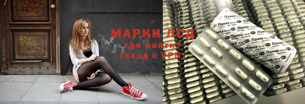 прущие грибы Михайловск