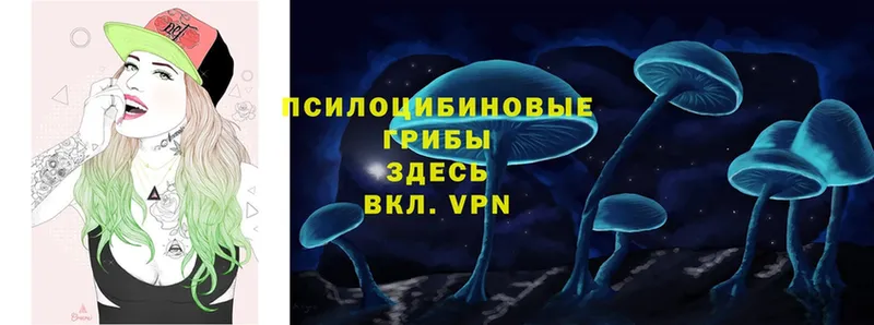 Галлюциногенные грибы мицелий  ОМГ ОМГ ТОР  Калач 